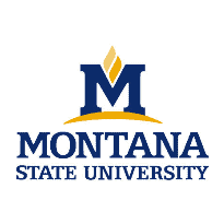 badge-montana-state-university